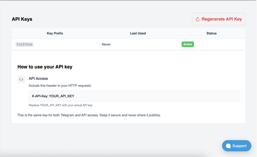API Key page after generation