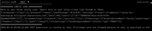 json output after running app