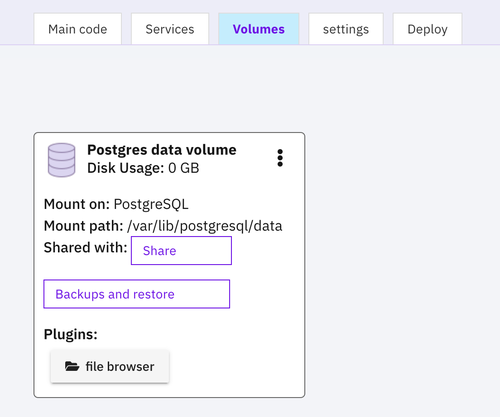 postgres volume mounted