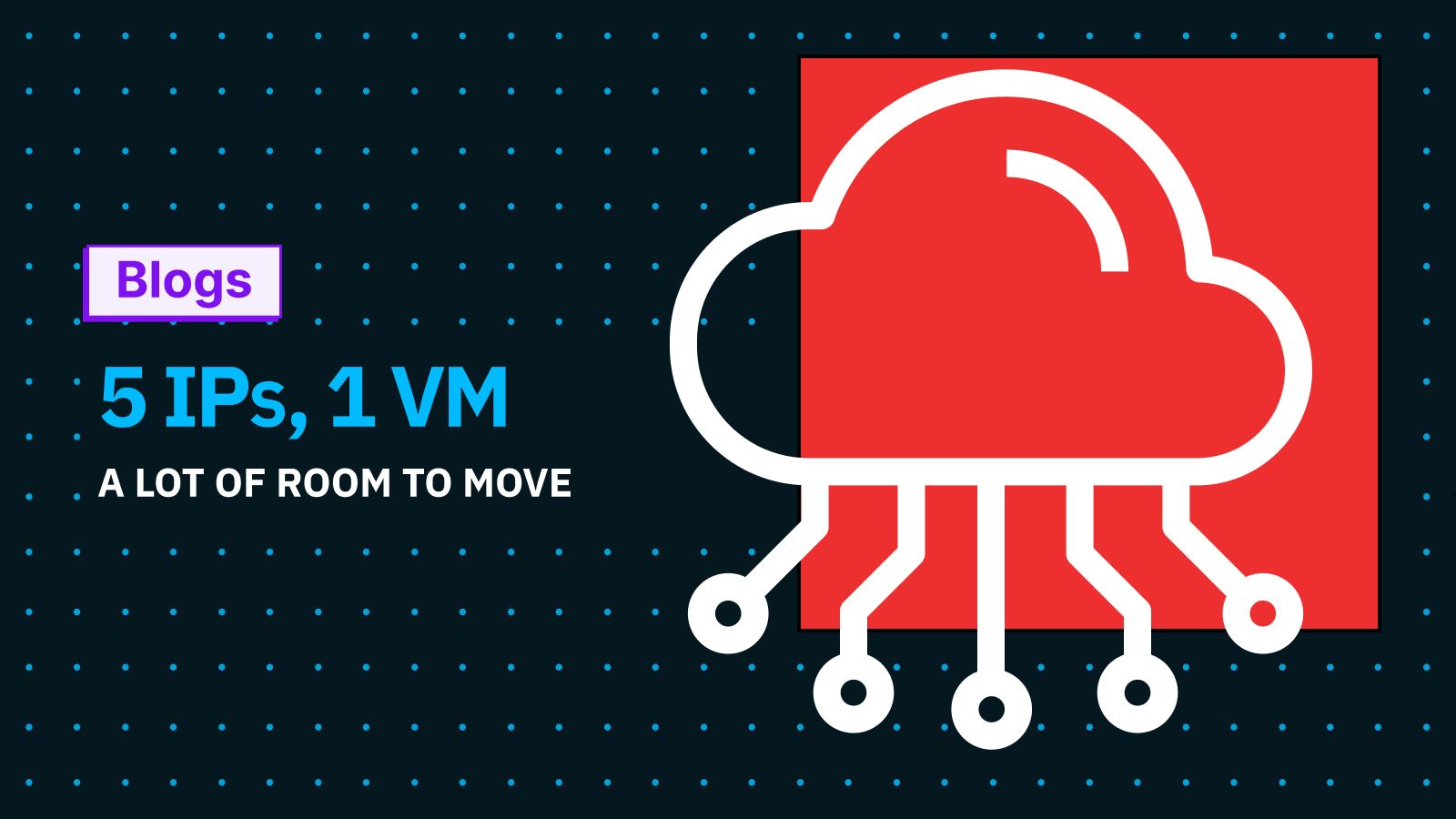 Five IPs, One VM, A Lot of Room to Move