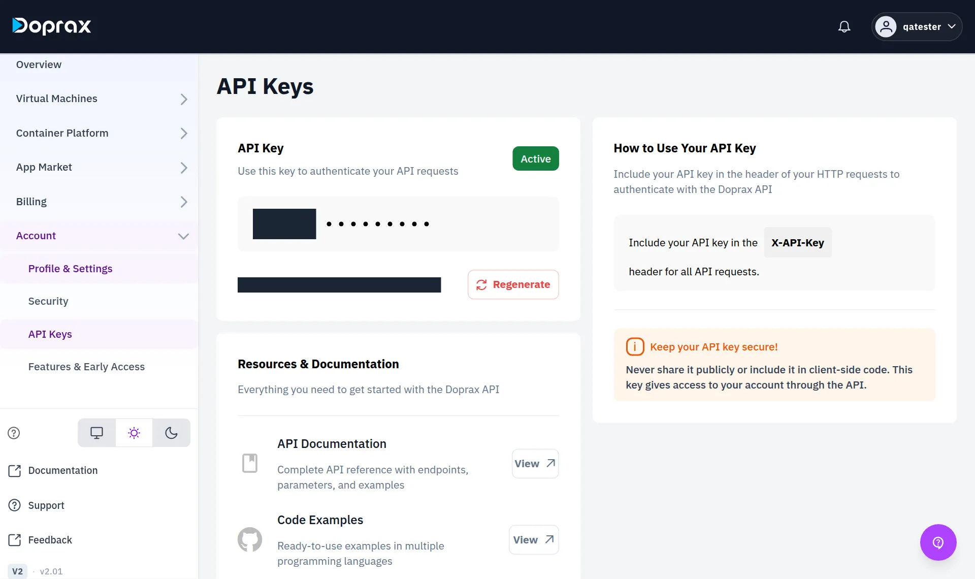 The API Keys page in the dashboard, with the key covered